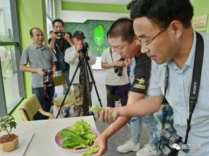網(wǎng)眼看宿豫 走在幸福的大道上，共筑網(wǎng)絡(luò)文化新篇章