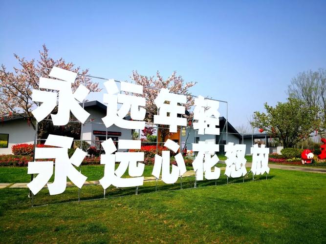全年31個(gè)網(wǎng)絡(luò)文化活動(dòng)，等你來(lái)參與！